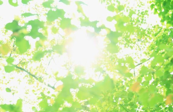 乳がんの手術をする前に自分の身体を美しく記録しませんか？| 青梅でハイクオリティーな写真撮影を行うフォトスタジオ青梅